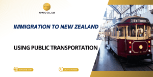 Things to Keep in Mind When Using Public Transportation in New Zealand