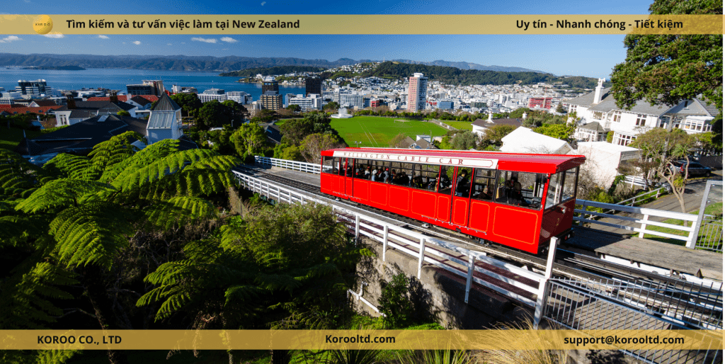 Những Điều Cần Lưu Ý Khi Sử Dụng Phương Tiện Giao Thông Công Cộng Tại New Zealand