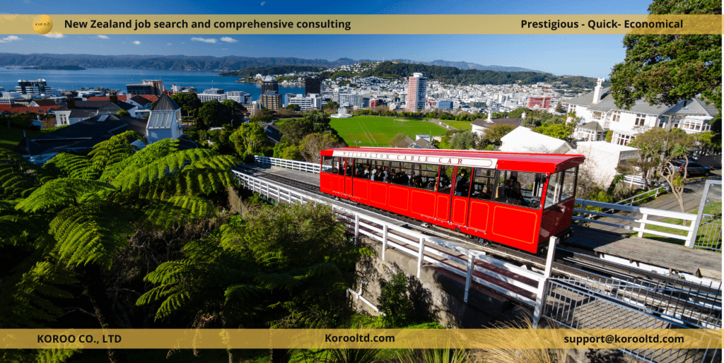 Things to Keep in Mind When Using Public Transportation in New Zealand 