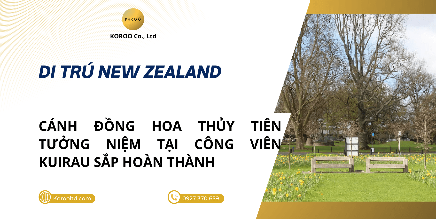 Cánh Đồng Hoa Thủy Tiên Tưởng Niệm Tại Công Viên Kuirau Sắp Hoàn Thành