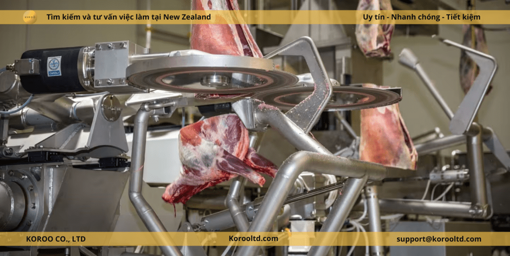 Xuất khẩu thịt đỏ của New Zealand đạt 1,1 tỷ đô la vào tháng 2. 