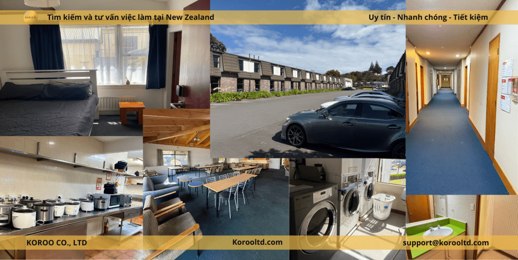 Kinh Nghiệm Thuê Nhà Ở New Zealand: Hướng Dẫn Từ A-Z Cho Người Mới