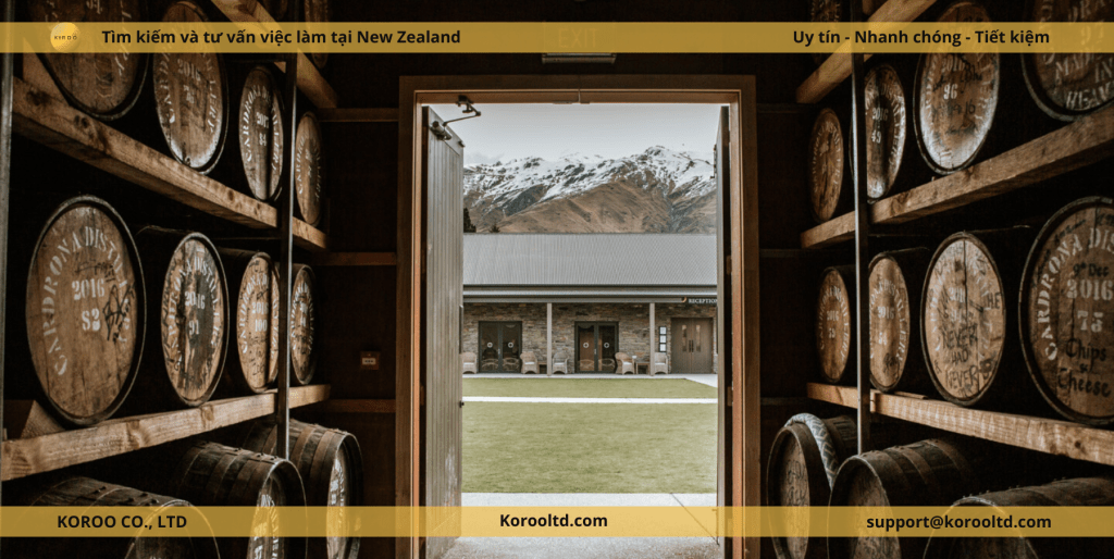 Khám Phá 10 Trải Nghiệm Mùa Thu Tuyệt Vời Nhất Tại New Zealand 