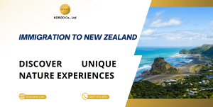 Discover Unique Nature Experiences in New Zealand