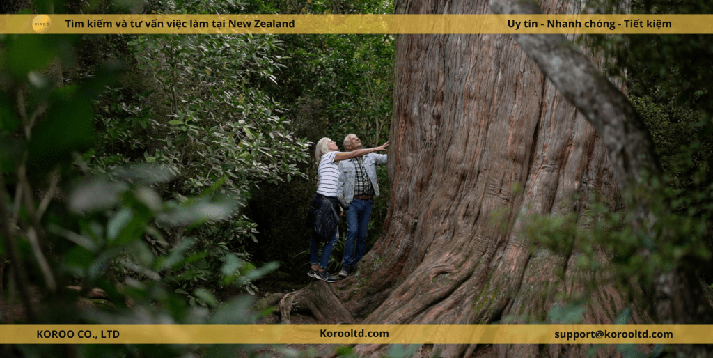 Khám phá những trải nghiệm thiên nhiên độc đáo tại New Zealand