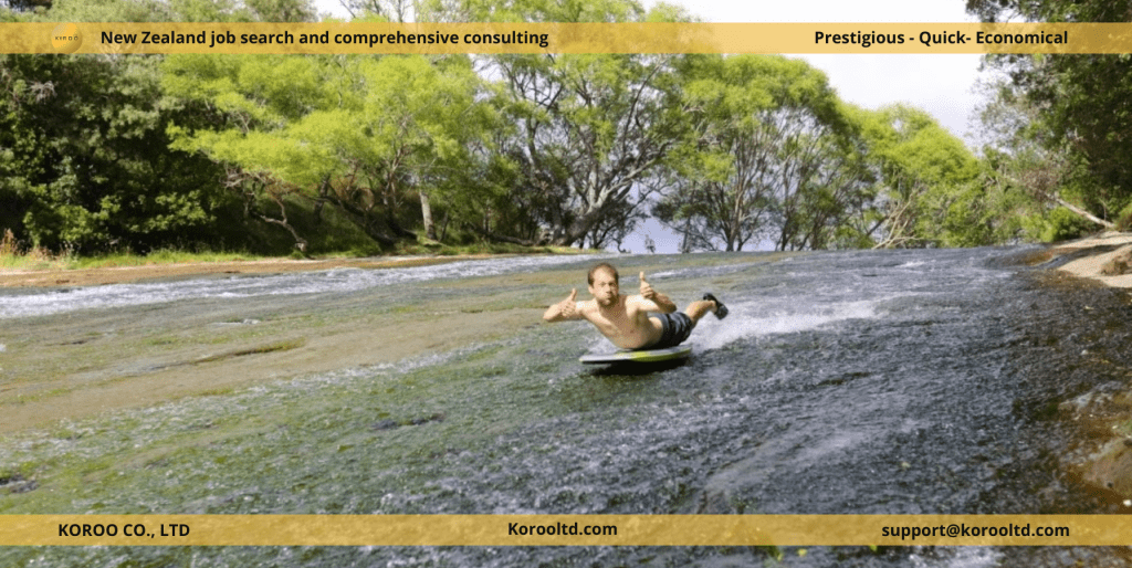 Discover Unique Nature Experiences in New Zealand