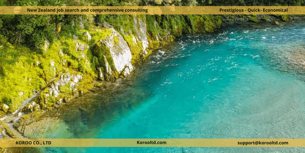 Discover Unique Nature Experiences in New Zealand