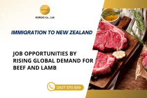 Job Opportunities in New Zealand