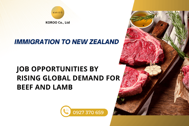 Job Opportunities in New Zealand