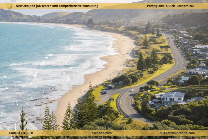 Amazing Winter Activities in the North Island
