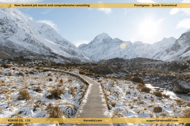Amazing Winter Activities in the North Island
