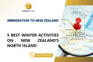 Amazing Winter Activities in the North Island