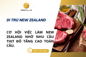 Cơ hội việc làm New Zealand