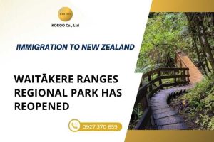 West Auckland Walking Tracks Reopen After Eight-Year Closure
