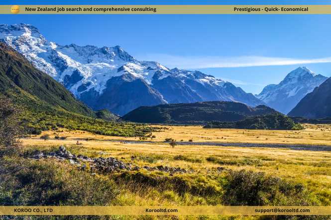 New Zealand will charge international visitors