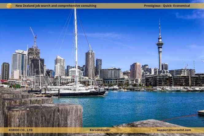 Why International Workers Choose New Zealand