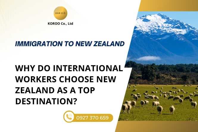 Why International Workers Choose New Zealand