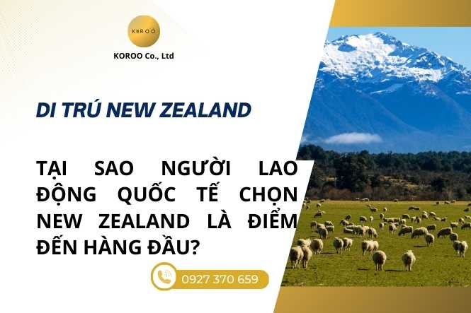Lao động quốc tế chọn New Zealand là điểm đến hàng đầu