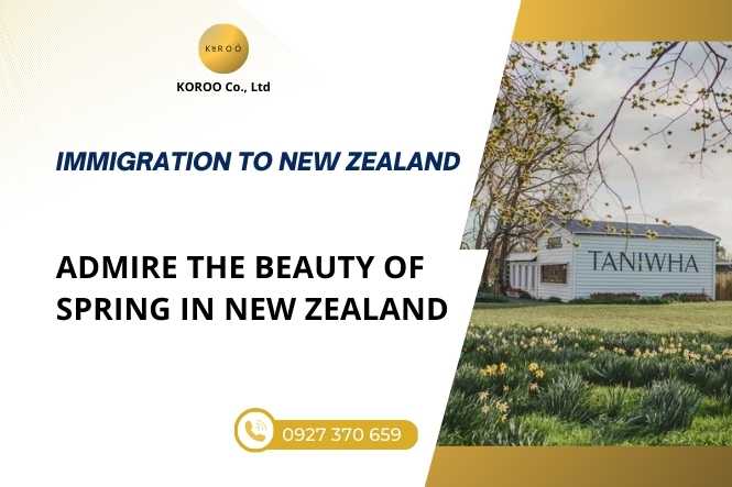 Admiring the Beauty of Spring in New Zealand’s North Island
