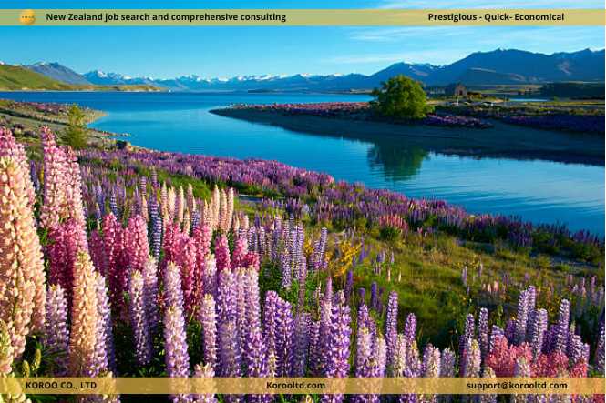Spring in South Island New Zealand