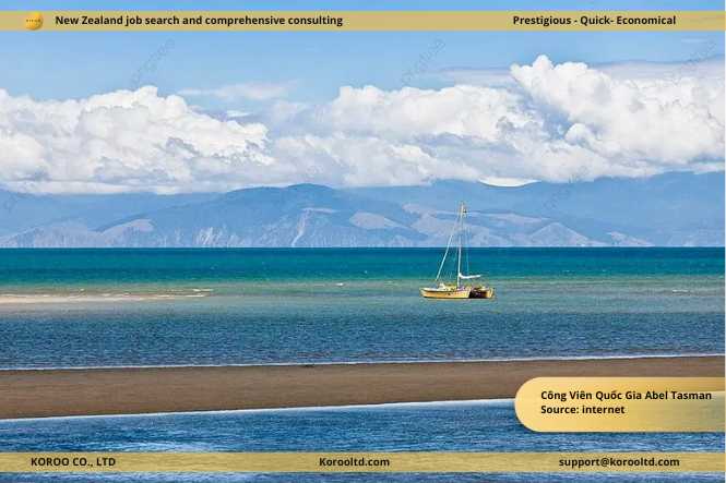 Spring in South Island New Zealand