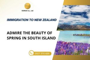 Spring in South Island New Zealand
