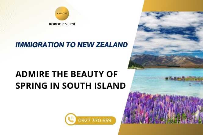 Spring in South Island New Zealand