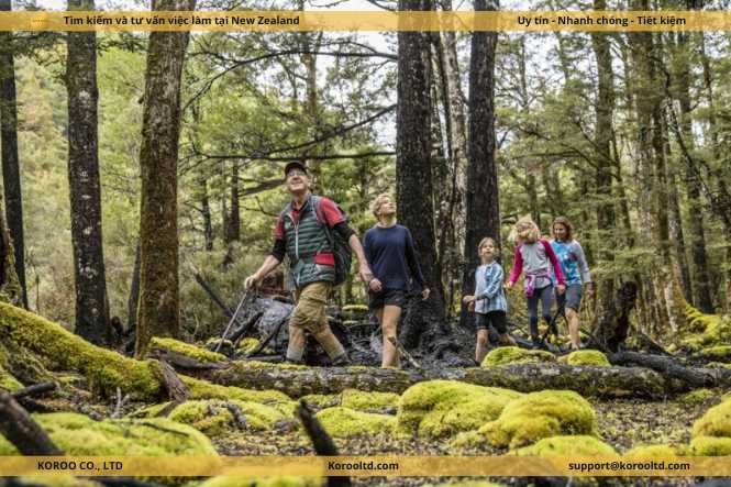 Các điểm đến không thẻ bỏ lỡ mùa Xuân New Zealand