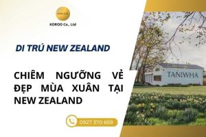 Chiêm ngưỡng vẻ đẹp mùa Xuân tại Đảo Bắc New Zealand