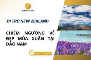 Khám phá mùa xuân ở đảo nam New Zealand