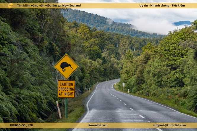 Tại Sao Người New Zealand Được Gọi Là Kiwis? Nguồn Gốc, Lịch Sử Và Những Lần Đặt Tên Đầu Tiên