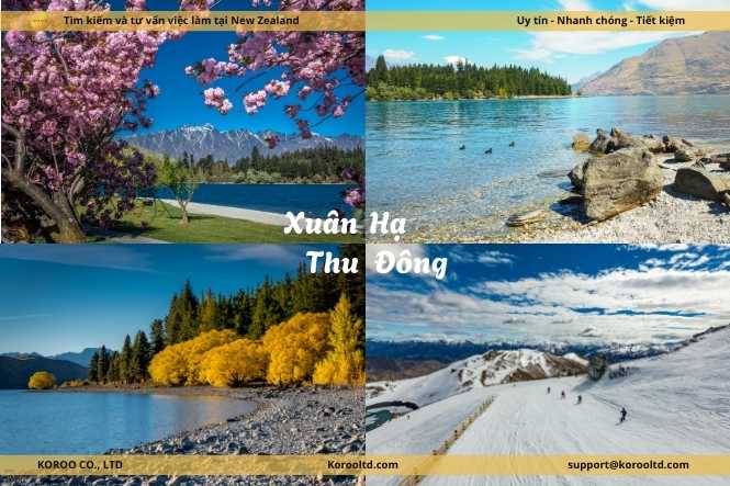 Thời điểm lý tưởng để đến New Zealand