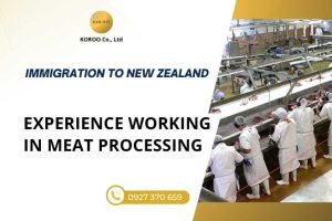 Meat processing in New Zealand