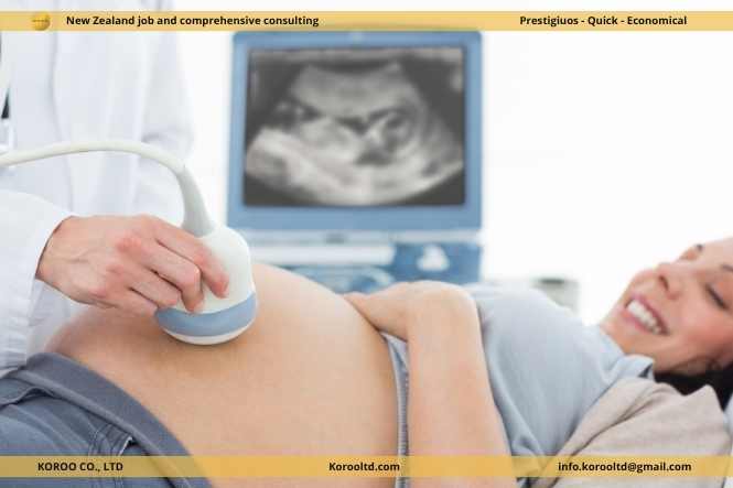 Am I Eligible for Financial Support If I’m Pregnant in New Zealand? 