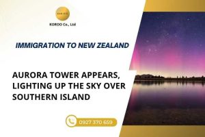 Explore New Zealand – Witness the Stunning Aurora Over the South Island