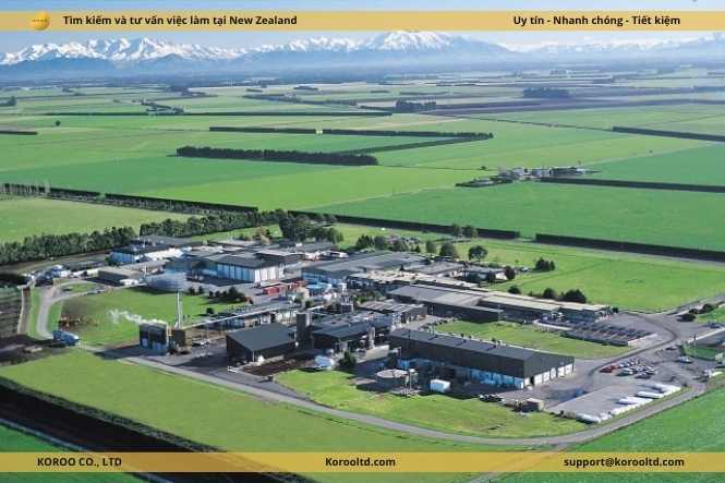 Mức lương trung bình tại New Zealand